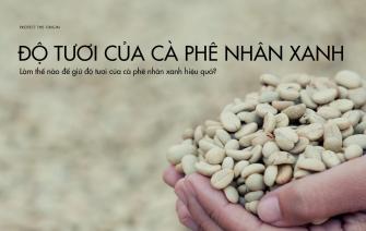 Làm thế nào để giữ độ tươi của cà phê nhân xanh hiệu quả?