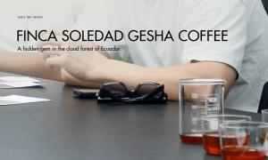 Finca Soledad Gesha Coffee – A hidden gem in the cloud forest of Ecuador