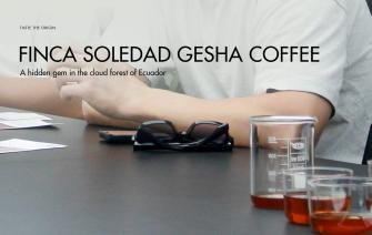 Finca Soledad Gesha Coffee – A hidden gem in the cloud forest of Ecuador