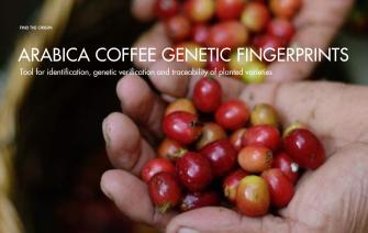 WCR has just launched an Arabica coffee genetic fingerprints