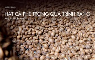 Làm thế nào để kiểm soát sự thay đổi của hạt cà phê trong quá trình rang?