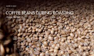 How to control the change of coffee beans during roasting?