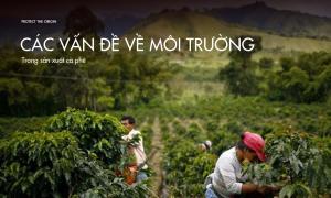 Các vấn đề về môi trường trong sản xuất cà phê bạn không thể ngờ tới.