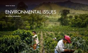Environmental problems in coffee production you cannot expect.