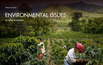 Environmental problems in coffee production you cannot expect.