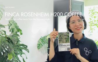 Finca Rosenheim H200 Coffee – Single origin coffee beans from the Peruvian jungle