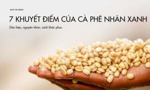7 khuyết điểm phổ biến của cà phê nhân xanh và cách nhà sản xuất ngăn chặn chúng