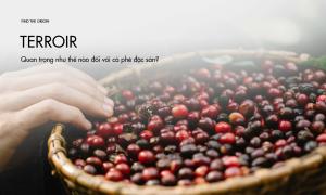 Terroir quan trọng như thế nào đối với cà phê đặc sản?