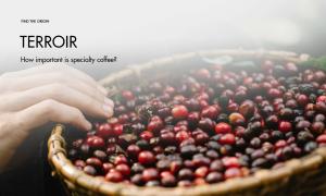 How important is terroir for specialty coffee?