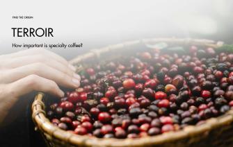 How important is terroir for specialty coffee?