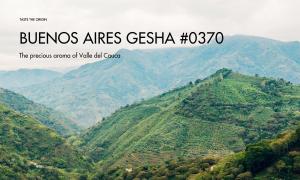 Buenos Aires Gesha #0370 Coffee – The precious aroma of Valle del Cauca