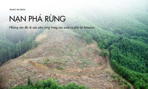 Những vấn đề về nạn phá rừng trong sản xuất cà phê tại Amazon
