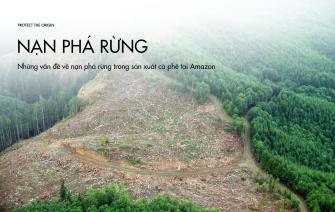Những vấn đề về nạn phá rừng trong sản xuất cà phê tại Amazon