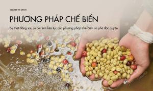 Sự thật đằng sau sự cải tiến liên tục của phương pháp chế biến cà phê độc quyền