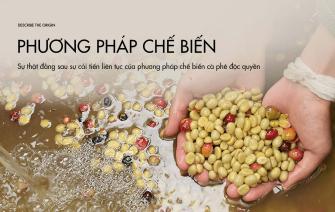 Sự thật đằng sau sự cải tiến liên tục của phương pháp chế biến cà phê độc quyền