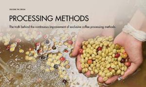 The truth behind the continuous improvement of exclusive coffee processing methods