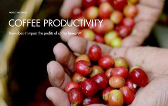 How does productivity impact coffee farmers’ profits?
