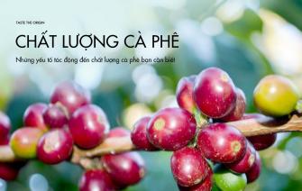 Những yếu tố tác động đến chất lượng cà phê bạn cần biết