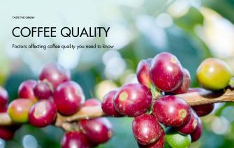 Factors affecting coffee quality you need to know