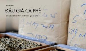 Tìm hiểu về hình thức phiên đấu giá cà phê