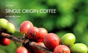Is single origin coffee specialty coffee?
