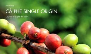 Cà phê single origin có phải là cà phê đặc sản?