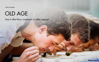 Does age affect flavor assessment in coffee cupping?