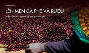 Sự khác biệt giữa quá trình lên men cà phê và rượu