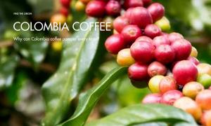 Why can Colombian coffee pamper every taste?