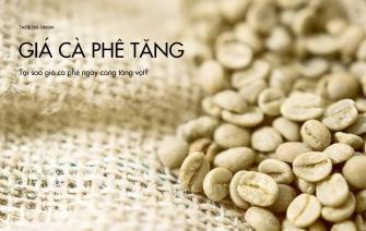 Tại sao giá cà phê ngày càng tăng vọt?