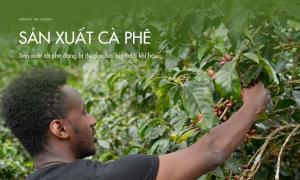 Sản xuất cà phê đang bị đe dọa bởi biến đổi khí hậu