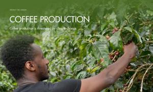 Coffee production is threatened by climate change