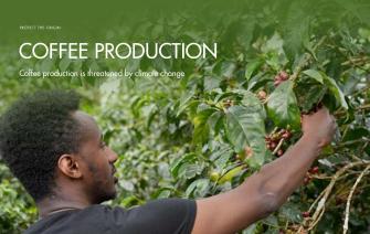 Coffee production is threatened by climate change
