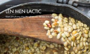 Khám phá phương pháp thử nghiệm mới – lên men lactic trong cà phê