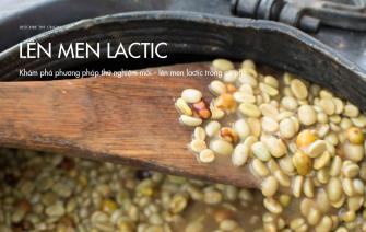 Khám phá phương pháp thử nghiệm mới – lên men lactic trong cà phê