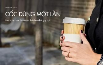 Cốc dùng một lần làm từ tre hoặc bã mía có thể chứa chất gây hại!