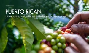 Can Puerto Rican specialty coffee explode after breaking the 90-point barrier?