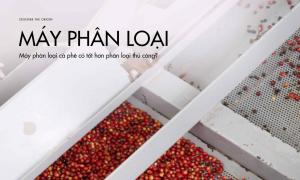 Máy phân loại cà phê có tốt hơn phân loại thủ công?