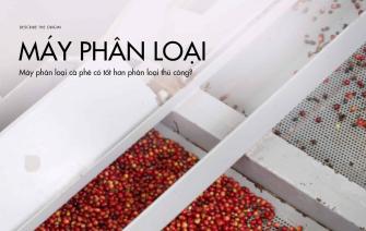 Máy phân loại cà phê có tốt hơn phân loại thủ công?