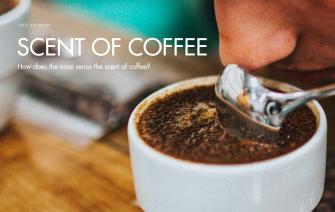How does the nose sense the scent of coffee?
