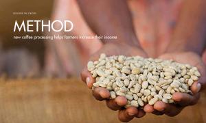Can farmers increase their income with new coffee processing methods?