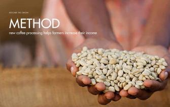 Can farmers increase their income with new coffee processing methods?