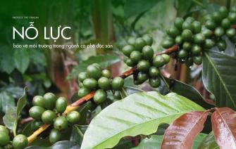 Những nỗ lực bảo vệ môi trường trong ngành cà phê đặc sản