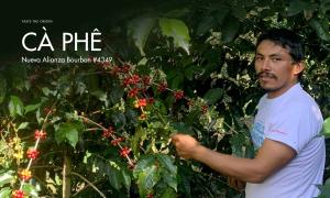 Nueva Alianza Bourbon #4349 khởi sinh với khát vọng vươn tới đỉnh cao