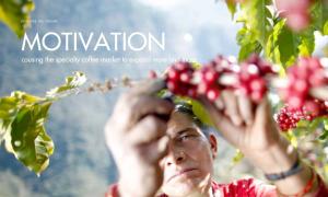 What drives the specialty coffee market to expand?