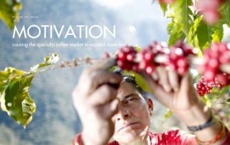 What drives the specialty coffee market to expand?