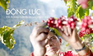 Động lực nào khiến thị trường cà phê đặc sản ngày càng mở rộng?