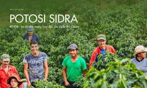 Potosi Sidra #0334 – Lô cà phê mang trọn nét đặc sắc vùng Valle del Cauca