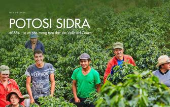 Potosi Sidra #0334 – Lô cà phê mang trọn nét đặc sắc vùng Valle del Cauca