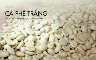 Cà phê trắng – Sức hút khó cưỡng với lượng caffein cực cao